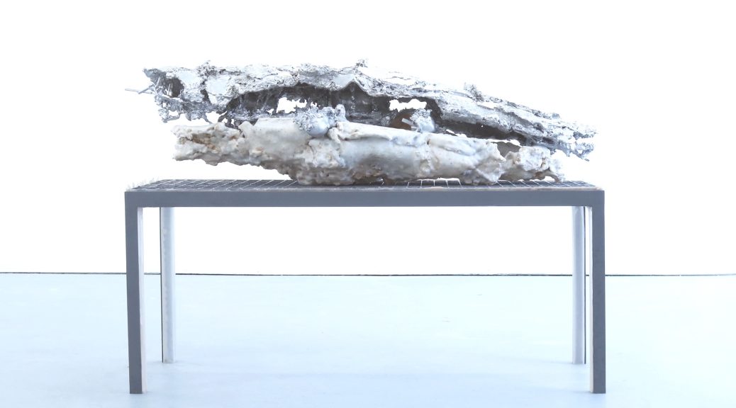 copyright Isabell Sterner, „carrier bag (barswogk)“, 2025