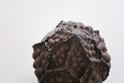 HyoJeong Kim, human killing Ernte